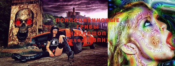 МДМА Новодвинск