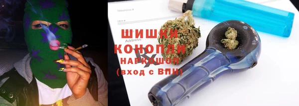 гидропоника Новозыбков