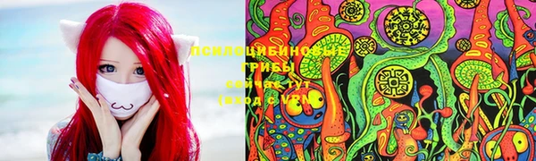 ECSTASY Абаза