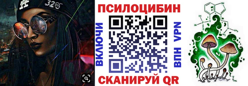купить наркотик  Александровск-Сахалинский  omg онион  Псилоцибиновые грибы мицелий 
